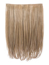 Dolce 18 Inch Straight One Piece Clip in Hair Extensions