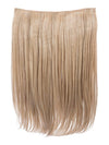 Dolce 18 Inch Straight One Piece Clip in Hair Extensions