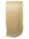 Envy 22-24 Inch Straight Three Piece Clip in Hair Extensions