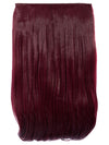 Lorna 24 Inch Straight One Piece Clip in Hair Extensions