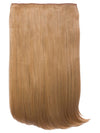 Lorna 24 Inch Straight One Piece Clip in Hair Extensions