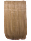 Lorna 24 Inch Straight One Piece Clip in Hair Extensions