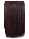 Lorna 24 Inch Straight One Piece Clip in Hair Extensions