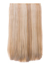 Lorna 24 Inch Straight One Piece Clip in Hair Extensions